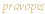 pravopis